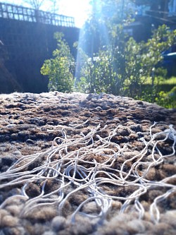 Ryland wool fleece rug - Finishing off