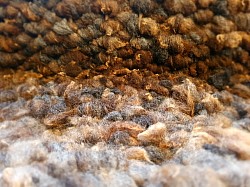 Ryland Wool rug