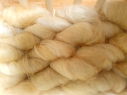 White faced Dartmoor rug on the loom