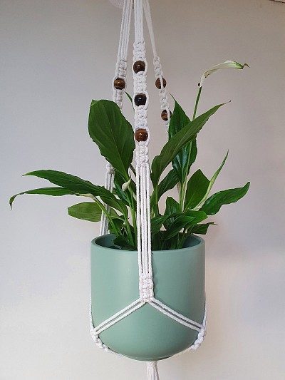 Pictured above with Havana 13cm