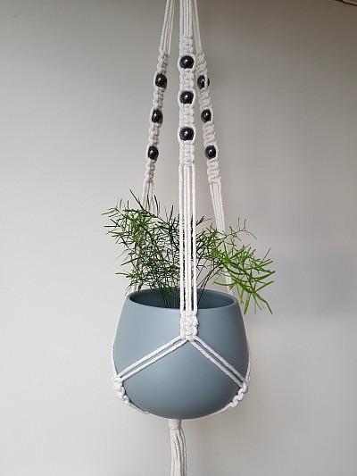 Pictured above with London 12x11cm pot