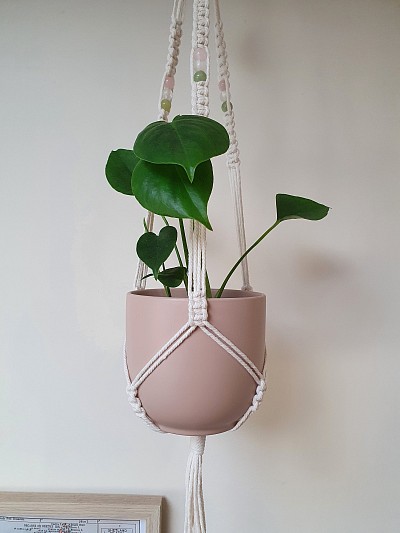 Pictured above with Cairo 12.5x12cm pot