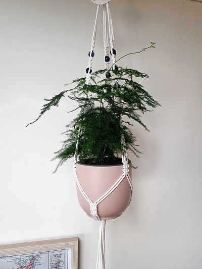 Pictured above with Cairo 12.5x12cm pot