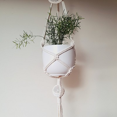 Pictured above with Cairo pot